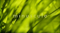 خیلی خیلی کوچک (2) (کلاه)